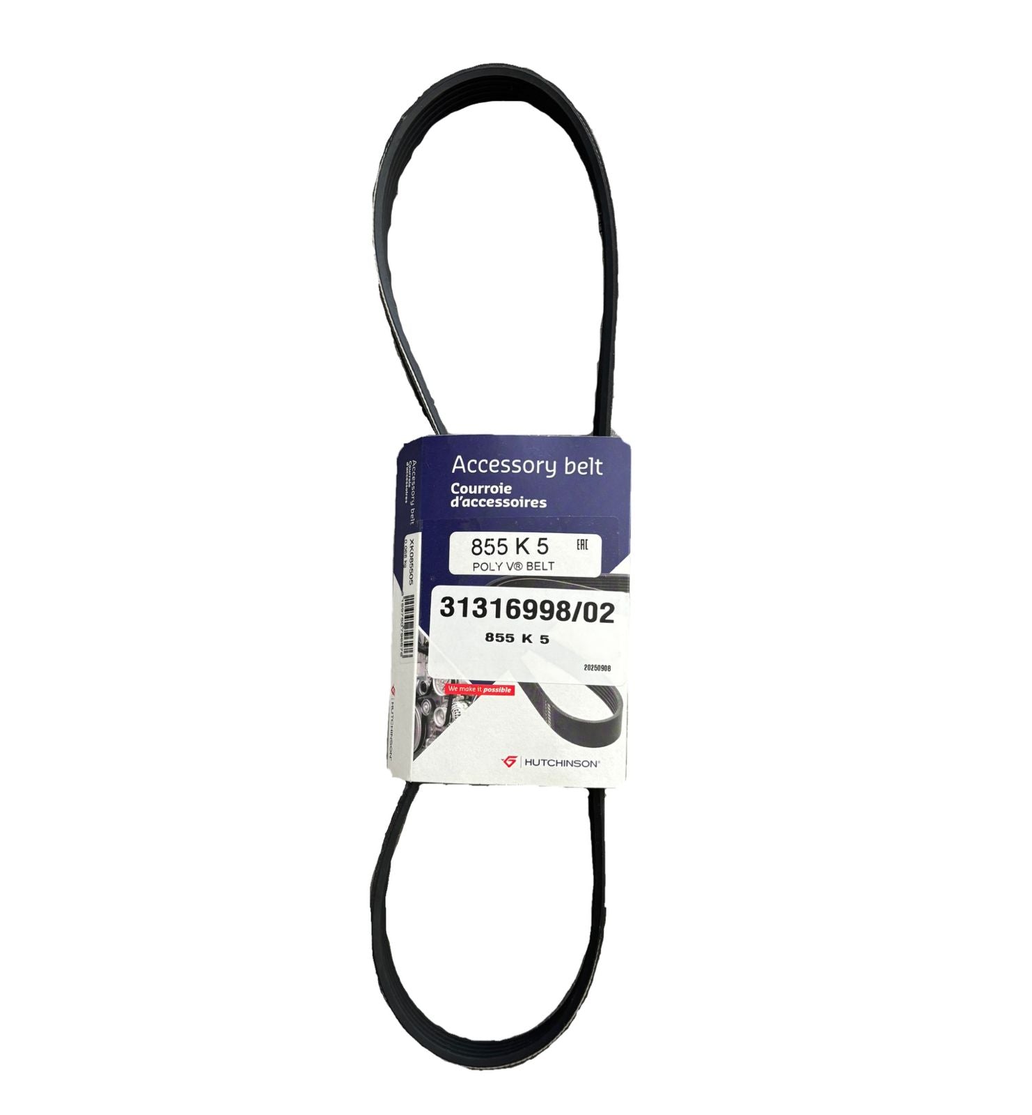 CORREA DE DISTRIBUCIÒN 31316998 - PCR AUTOMOTRIZ