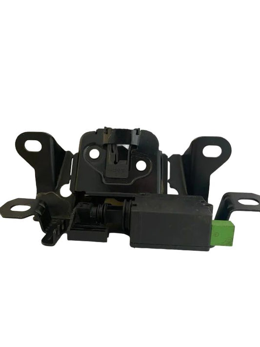 CHAPA  DE CAPÓ  30784739