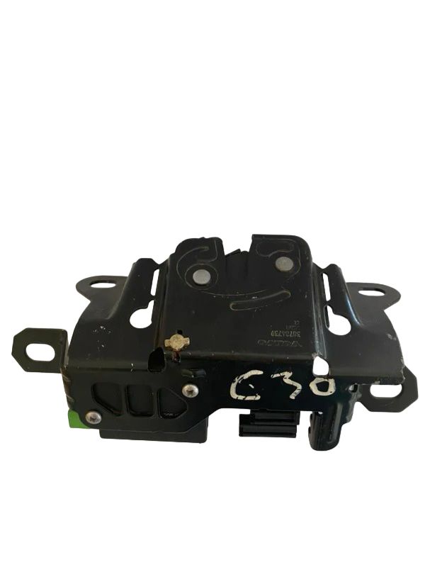 CHAPA  DE CAPÓ  30784739